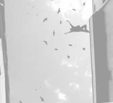  (229x209, 29Kb)