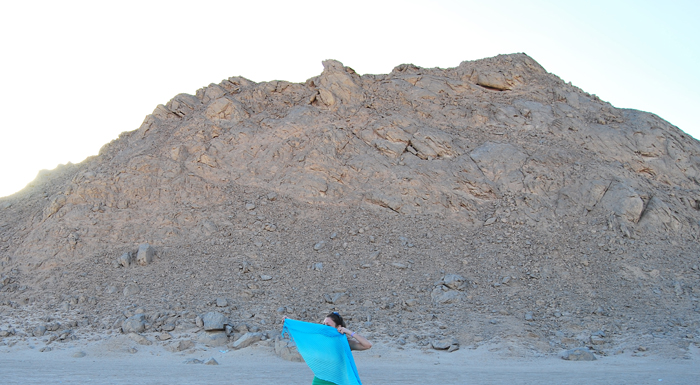DSC_1469 ()2 (700x385, 245Kb)