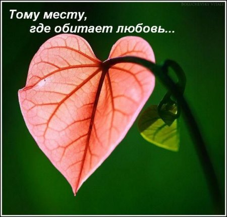  (450x430, 35Kb)