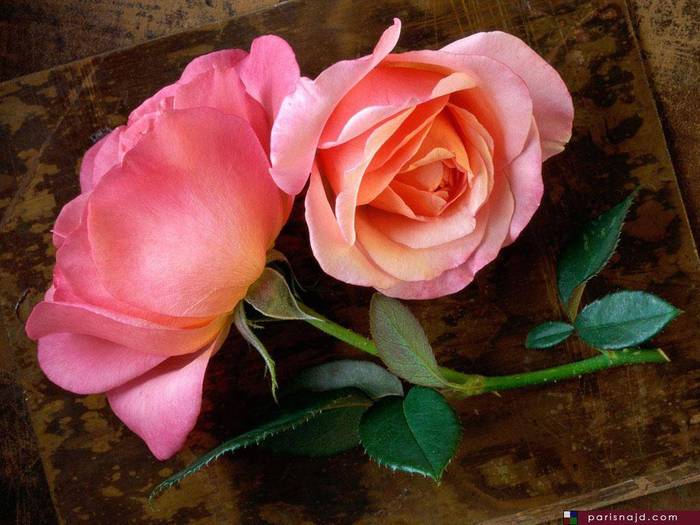 image010 (700x525, 53Kb)