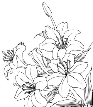  (317x364, 21Kb)
