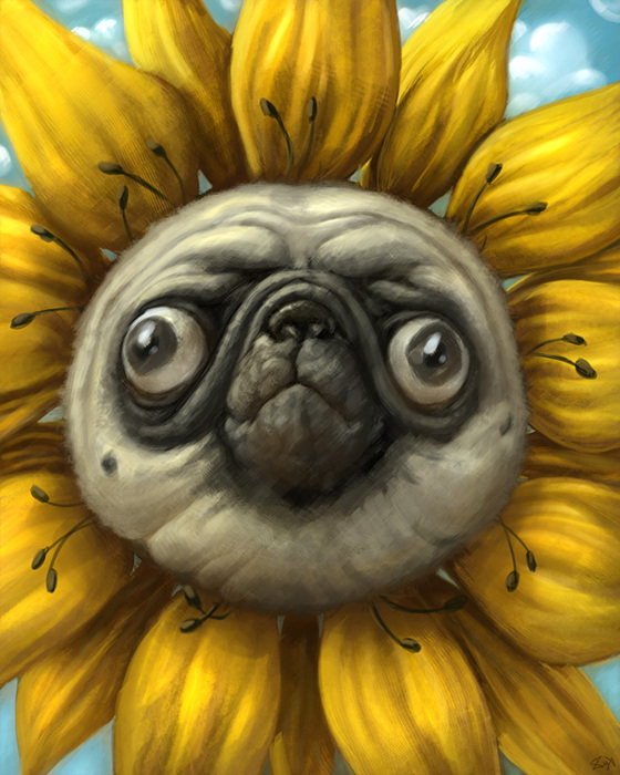 Sunflower_Pug_01 (560x700, 162Kb)