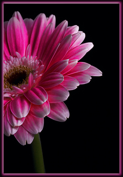  (418x600, 116Kb)