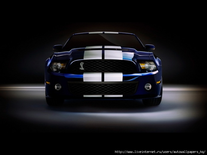 2010-Ford-Shelby-GT500-Front-Studio-1280x960 (700x524, 46Kb)