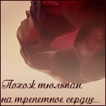  (150x150, 43Kb)