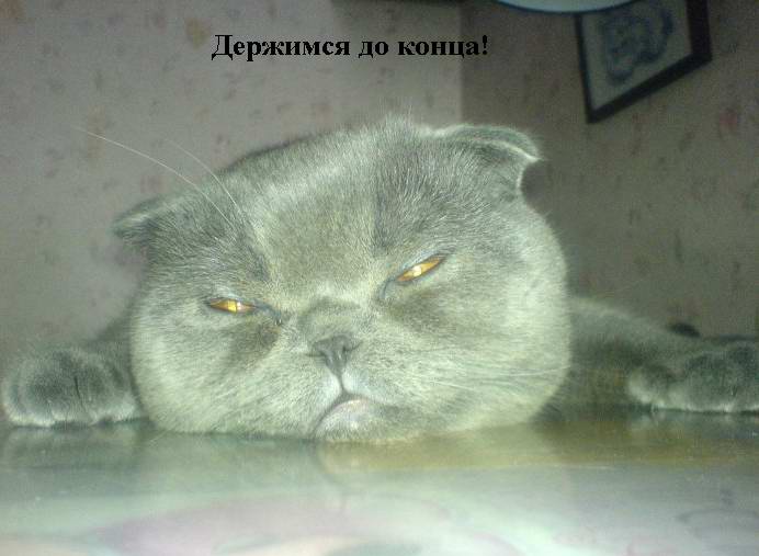  (692x507, 35Kb)