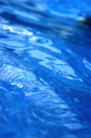 x_d388d0f8 (319x480, 26Kb)
