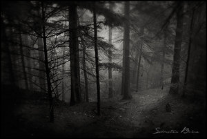  (300x201, 13Kb)
