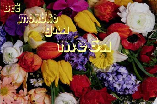  (500x333, 29Kb)