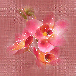  (250x250, 85Kb)