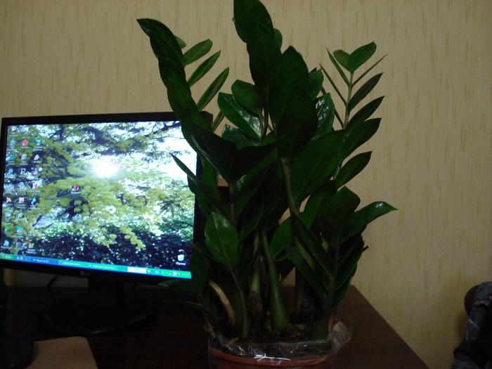  (700x525, 45Kb)