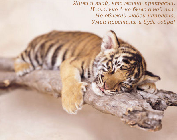  (620x493, 57Kb)