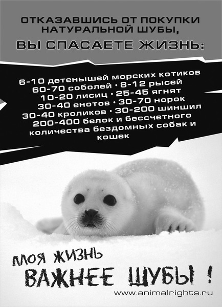  (434x600, 72Kb)