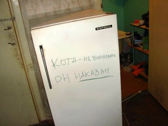  (550x413, 27Kb)