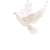  (50x50, 1Kb)