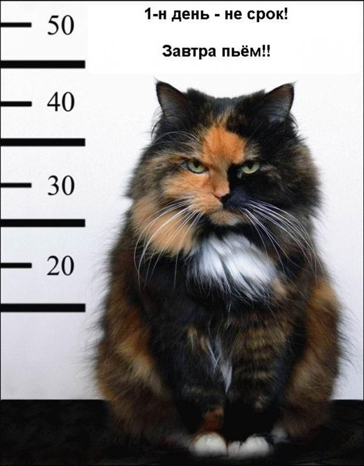  (525x672, 60Kb)