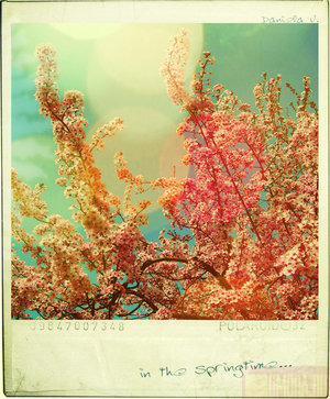   (300x363, 57Kb)