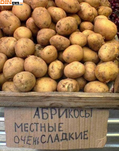  (400x507, 62Kb)