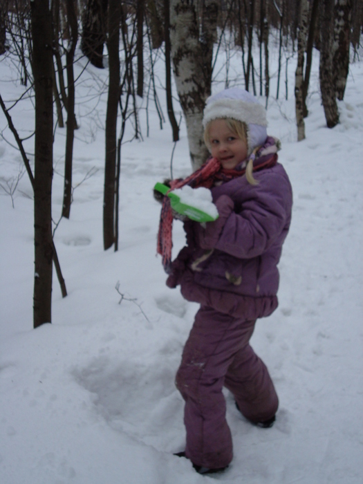 DSC00785 (525x700, 163Kb)