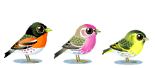  (219x96, 10Kb)
