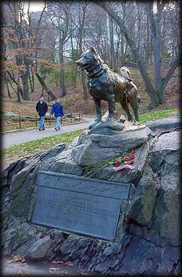 http://img0.liveinternet.ru/images/attach/c/0/40/805/40805796_1236672621_balto_statue_central_park_m.jpg