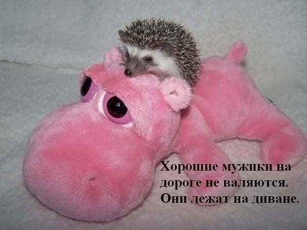  (600x450, 28Kb)