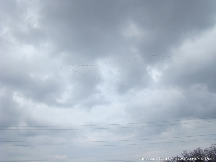  (700x525, 84Kb)