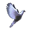  (134x99, 21Kb)