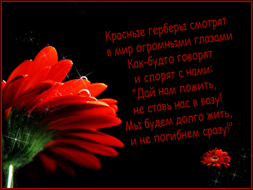  (500x375, 125Kb)