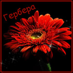  (150x150, 39Kb)