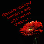  (150x150, 32Kb)