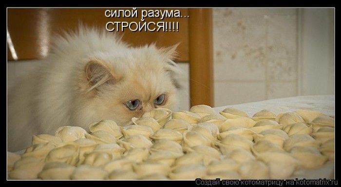  (700x383, 52Kb)