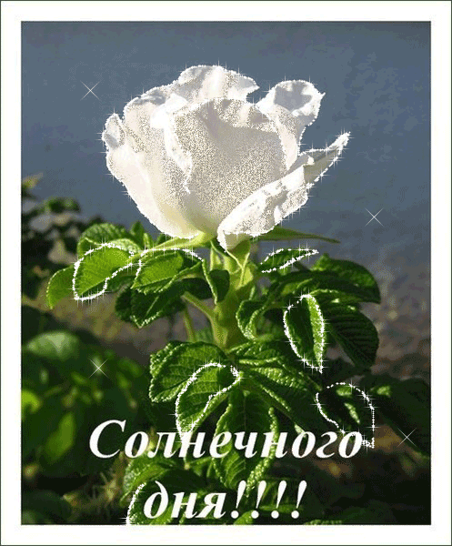 ! (497x600, 224Kb)