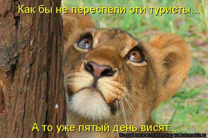  (699x465, 57Kb)