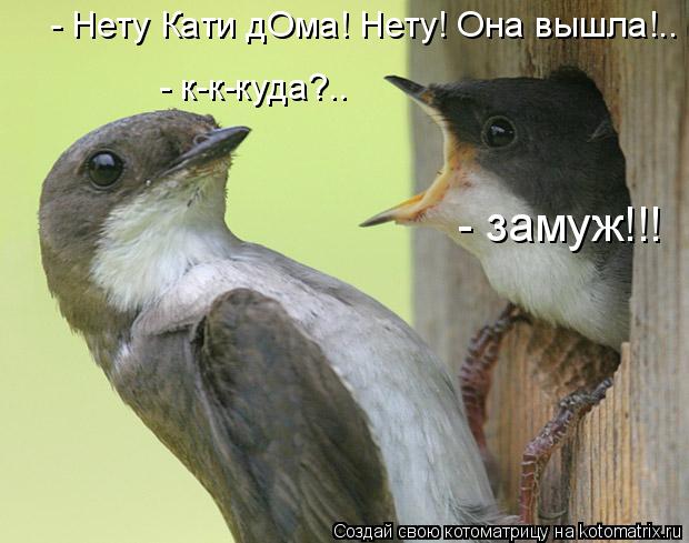  (620x489, 44Kb)