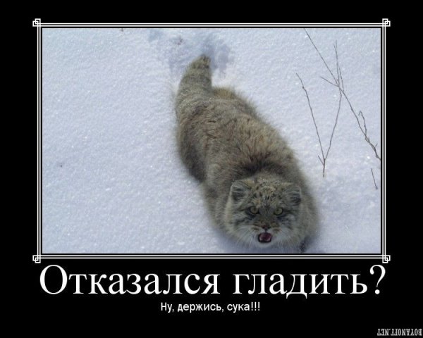  (600x480, 45Kb)