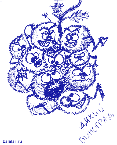 Рисунок ручкой прикольный