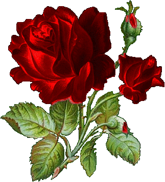  (323x355, 47Kb)