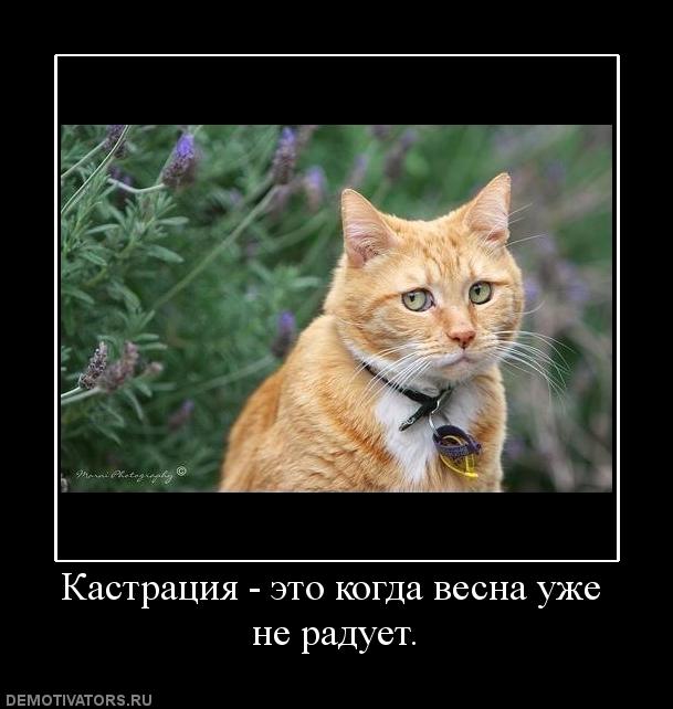 Demotivation ru картинки