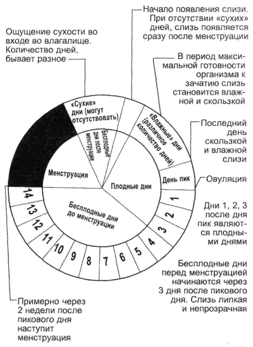 Что значат сухие. Сухие дни у женщин. Сухие дни перед месячными. Первый сухой день после месячных. Опасные дни после месячных.