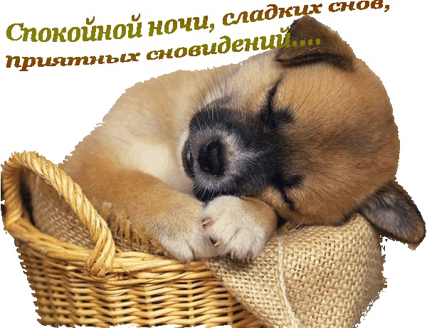 http://img0.liveinternet.ru/images/attach/c/0/45/986/45986921_2b9bd15a9cf6_kopiya.gif