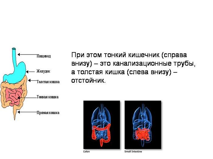 Боль в кишке слева внизу