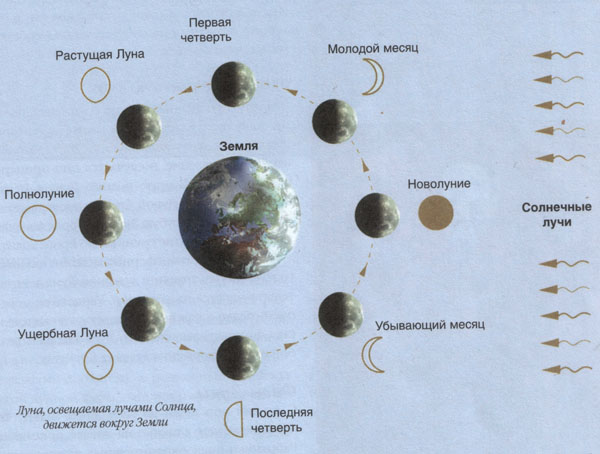 Схема вращения земли и луны вокруг солнца