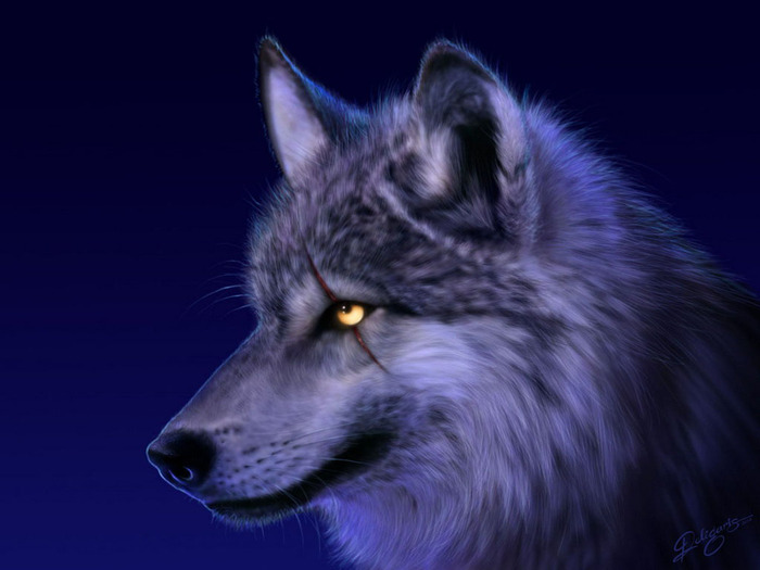Ночные волки долгопрудный фото