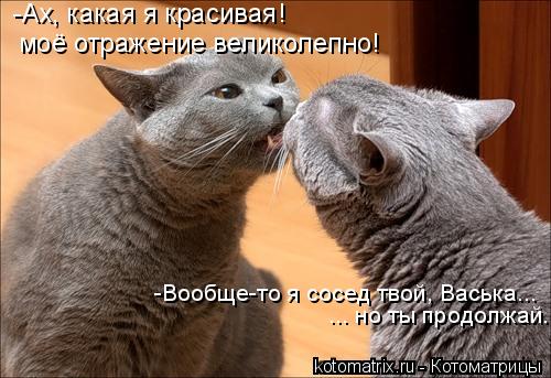 http://img0.liveinternet.ru/images/attach/c/0/51/844/51844632_58db4f59895a.jpg