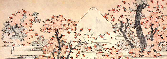 Mount_Fuji_seen_throught_cherry_blossom (700x247, 120Kb)