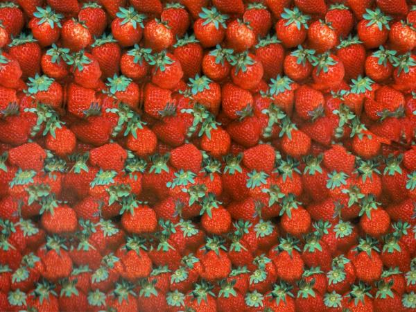  (600x450, 140Kb)