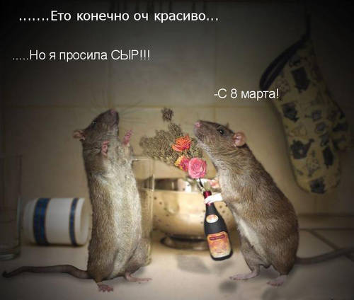  (500x424, 25Kb)