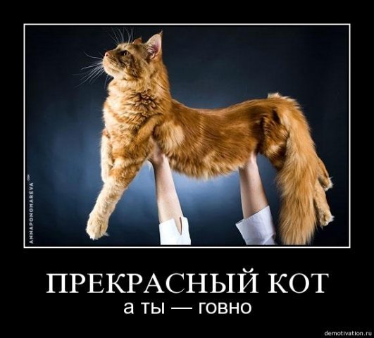  (531x480, 39Kb)