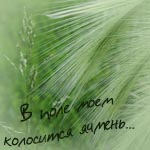  (150x150, 25Kb)